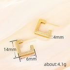 Micropaved Diamond Super Flash Geometric High-End Earrings(MAC190)