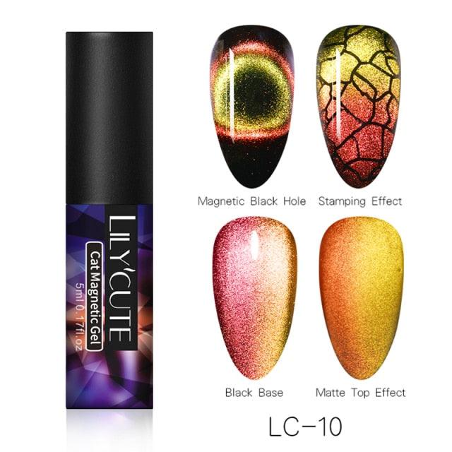 Magnetic Nail Gel Polish UV LED Popular Colorful New Fashion Charming Effect Luxury Drawing Design For Women and Girls