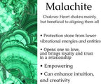 Malachite Picture Jasper Stretch Bracelet Natural Gem