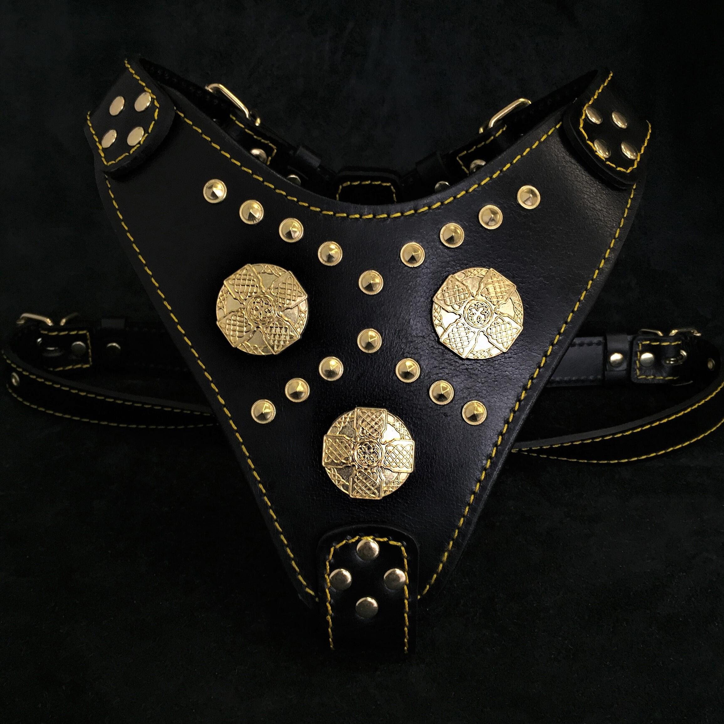 The "Maximus" harness black & gold Bestia Dog Gear