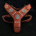 The "Maximus" silver harness - SJB-DIAMOND ELITES