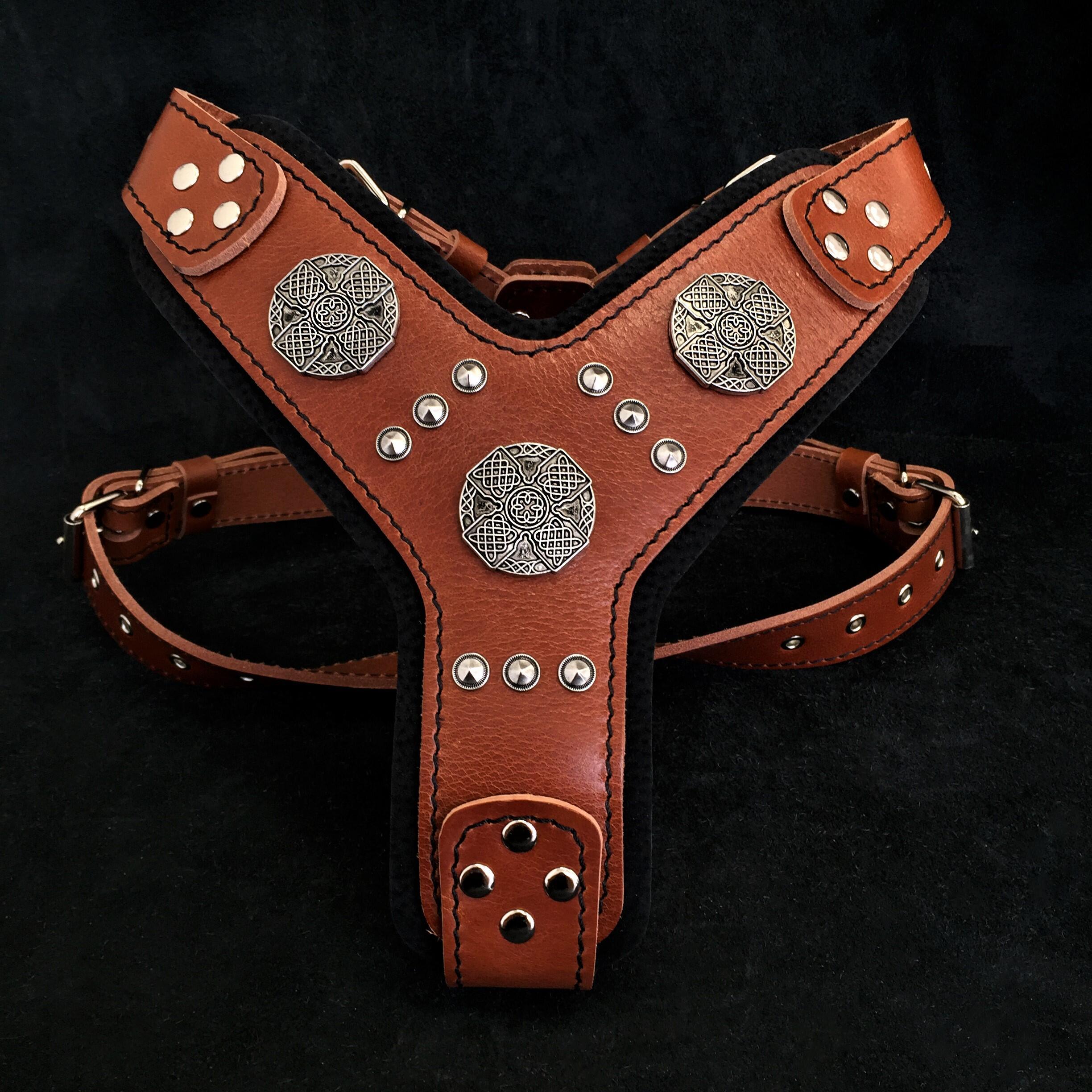 The "Maximus" silver harness - SJB-DIAMOND ELITES
