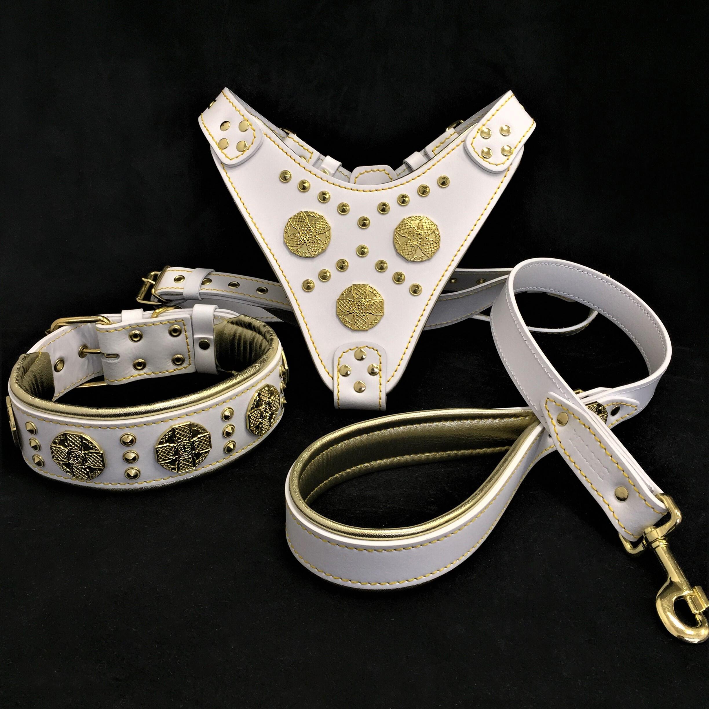 "Maximus White" BIG dog SET- Harness - collar - lead. Brass rivets - SJB-DIAMOND ELITES