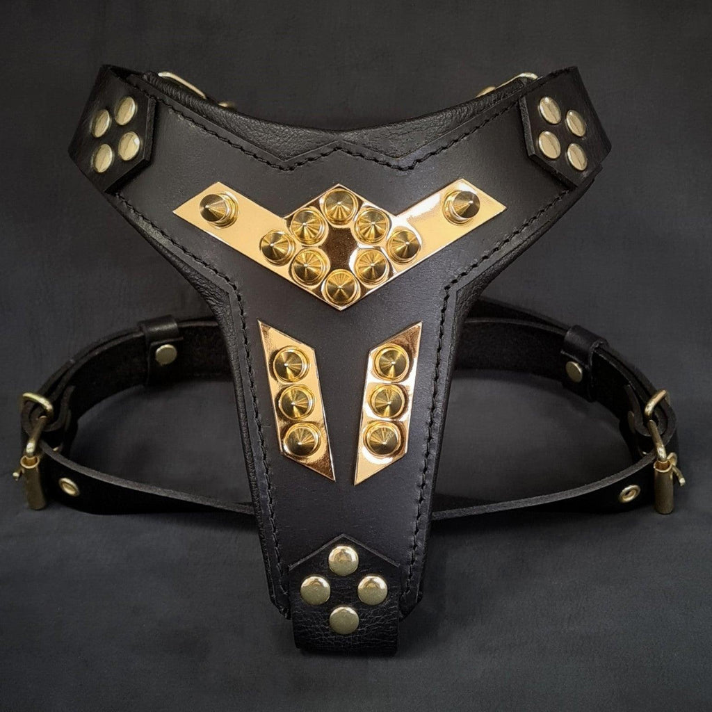 ''Midas'' leather dog harness gold medium size - SJB-DIAMOND ELITES