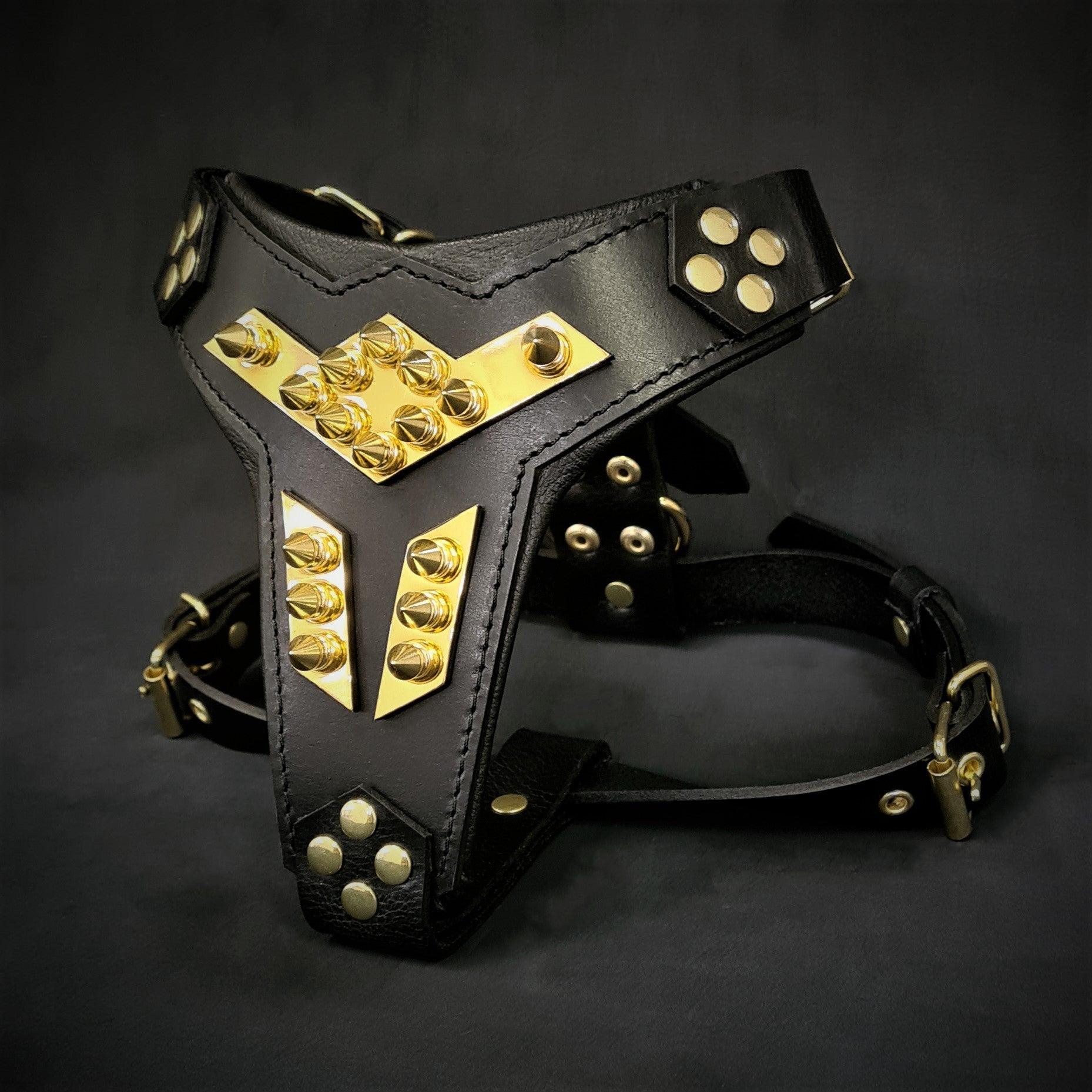 ''Midas'' leather dog harness gold medium size - SJB-DIAMOND ELITES