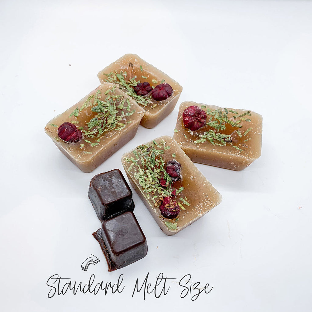 Chocolate Biscotti XL Wax Melts Natural Brownie Scent 4 Large Cubes 2.5x1 BandsCo Straps