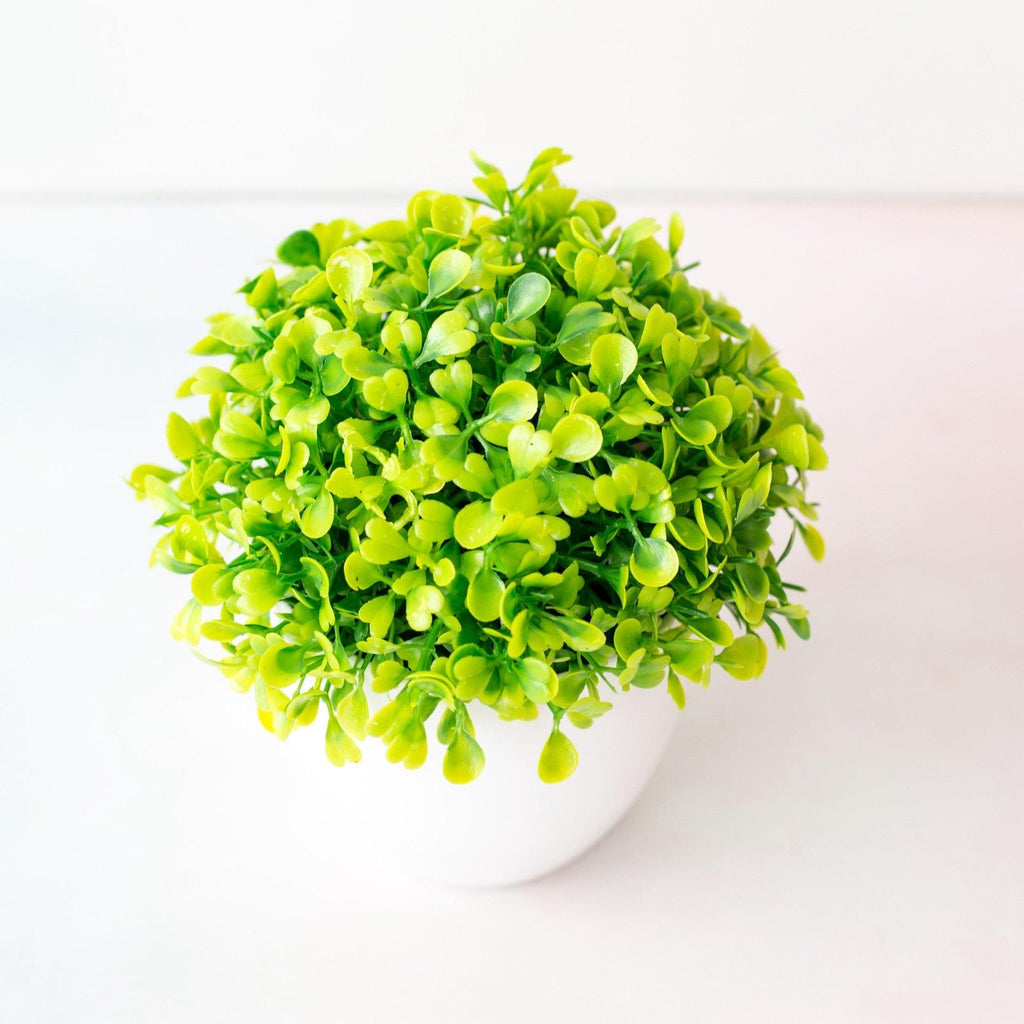 Mini Cute Artificial Bonsai Potted Plastic 15x16cm Friend's Gift Fake Decor  with Plastic Pots Fake Flowers Arrangements for Home Decoration Stevvex