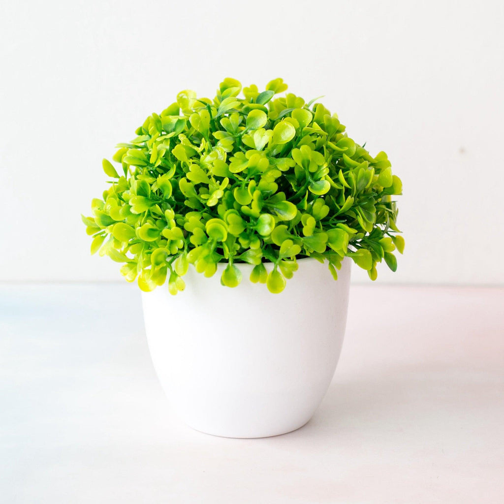Mini Cute Artificial Bonsai Potted Plastic 15x16cm Friend's Gift Fake Decor  with Plastic Pots Fake Flowers Arrangements for Home Decoration Stevvex