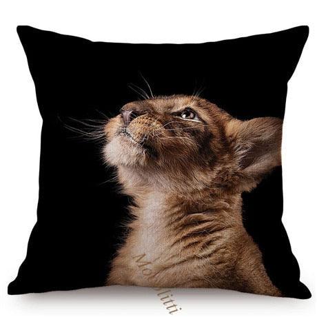 Modern Black And White Animals Portrait Photography Of Lion Zebra Elephant Tiger Pattern Sofa Pillow Cover Home Decor Square Cushions Cover 45x45cm Stevvex