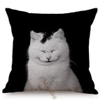 Modern Black And White Animals Portrait Photography Of Lion Zebra Elephant Tiger Pattern Sofa Pillow Cover Home Decor Square Cushions Cover 45x45cm Stevvex