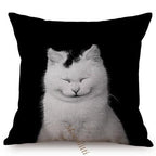 Modern Black And White Animals Portrait Photography Of Lion Zebra Elephant Tiger Pattern Sofa Pillow Cover Home Decor Square Cushions Cover 45x45cm Stevvex
