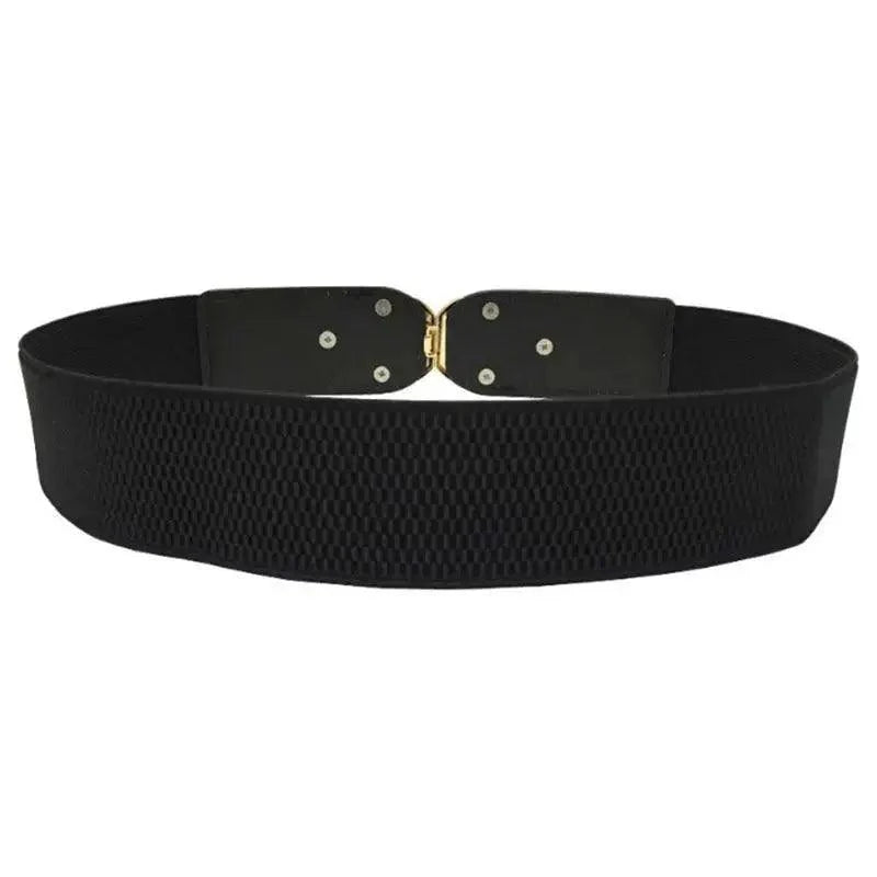 Modern Wide Fabric Strap Silver Metal Buckle Belts For Women Trendy Fashion Stretchable Classic Belts Stevvex