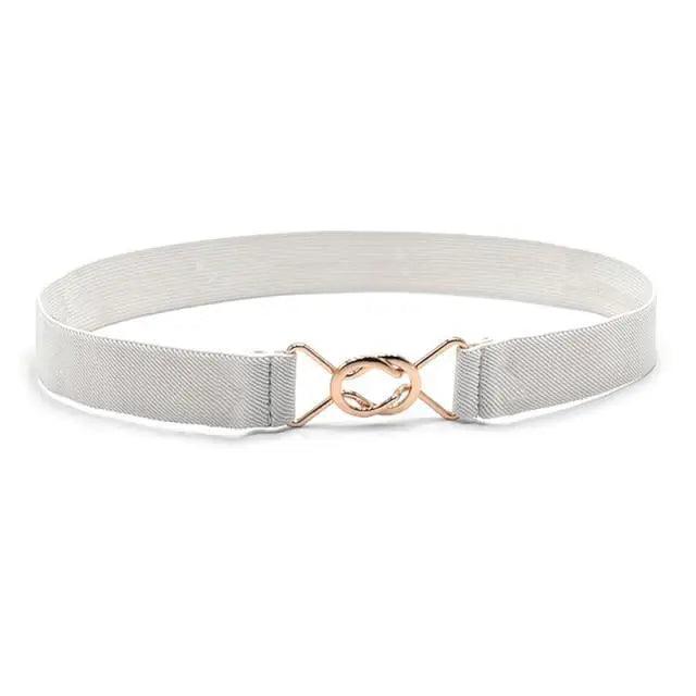 Modern Wide Fabric Strap Silver Metal Buckle Belts For Women Trendy Fashion Stretchable Classic Belts Stevvex