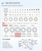 Moissanite Stud Earrings 0.5-1.0CT Multi 925 Sterling Silver 18K Plated Gift BandsCo Straps
