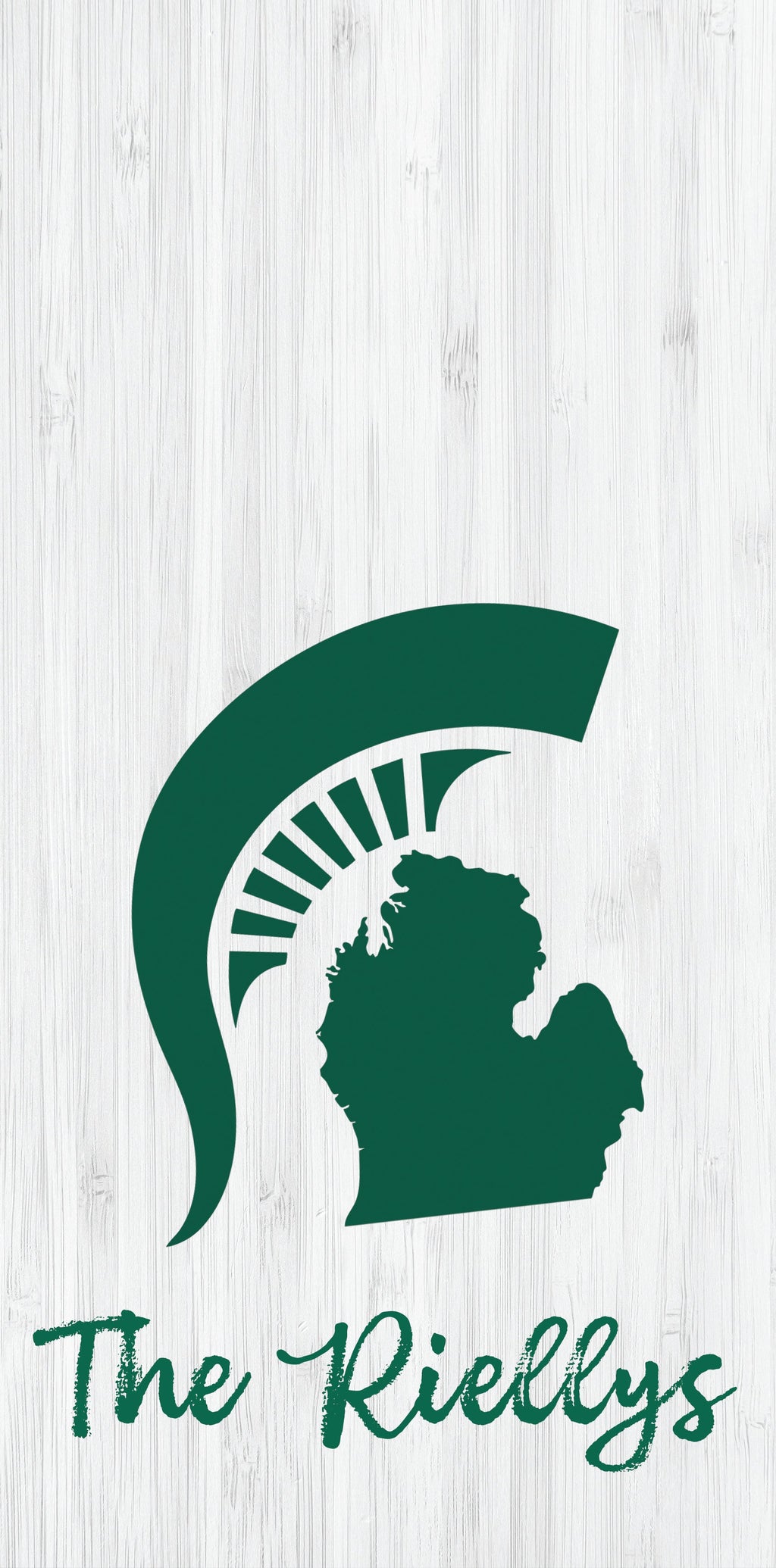 State of Michigan Custom Name Pro Style Cornhole Boards - SJB-DIAMOND ELITES