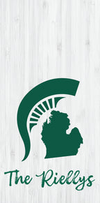 State of Michigan Custom Name Pro Style Cornhole Boards - SJB-DIAMOND ELITES
