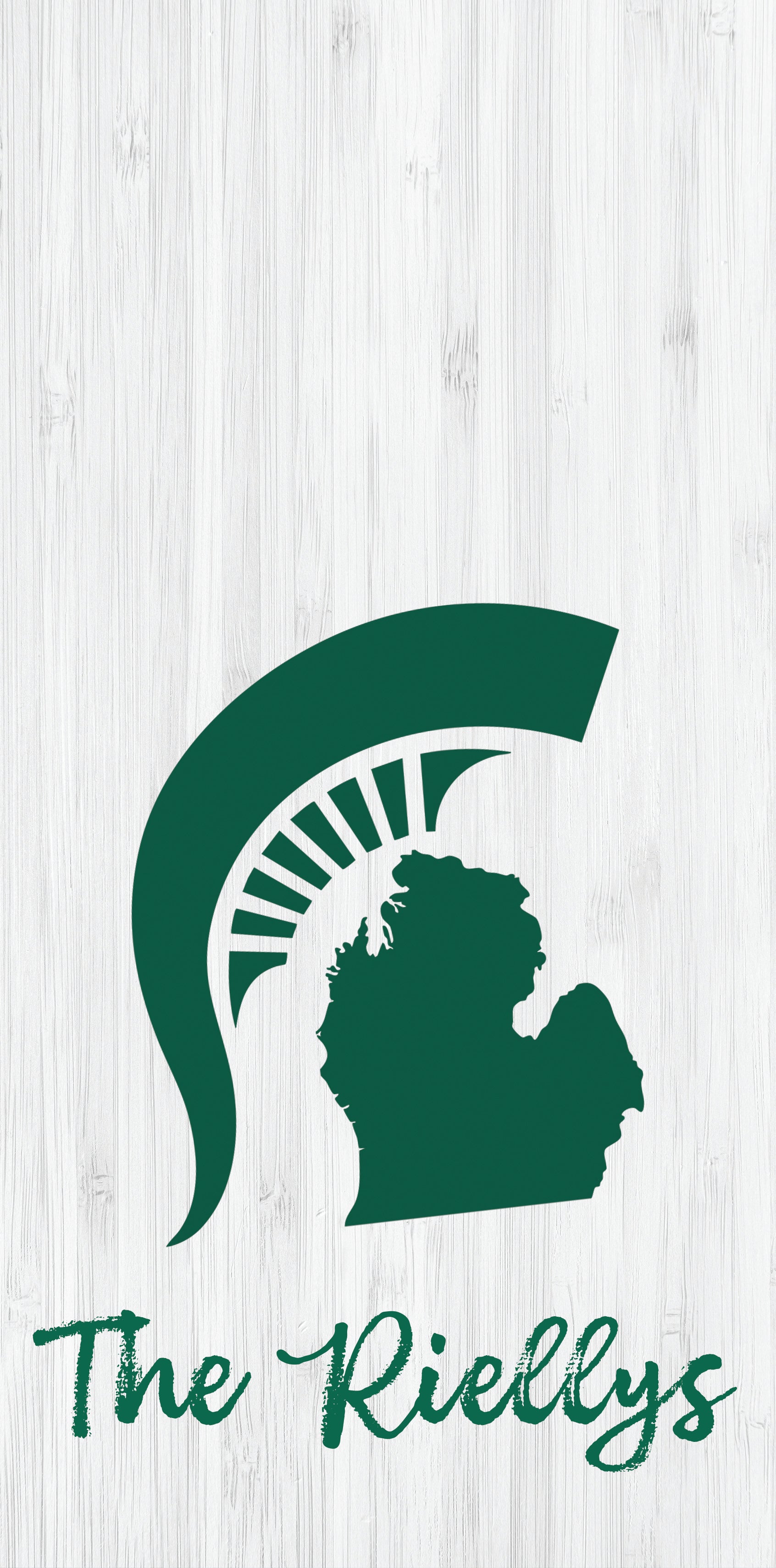 State of Michigan Custom Name Pro Style Cornhole Boards - SJB-DIAMOND ELITES