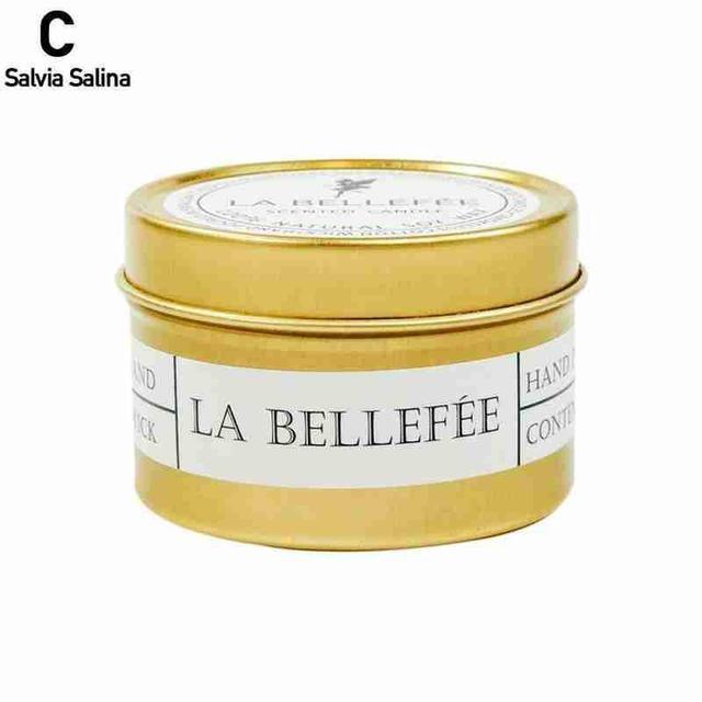 Natural Soy Wax Scented Tin Candle Aromatherapy Candles Scented Candles Gift Set for Women Soy Candle Portable Travel Tin Candles For Stress Relief Wedding Gift Festival Party Home Decoration Scented Soy Candles Stevvex