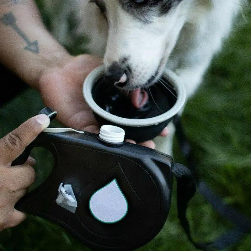 New 3 IN 1 Multifunctional Colorful Pet Leash With Built-in Water Bottle Bowl And Waste Bag Dispenser Modern Design For All Pets Stevvex
