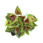 New Artificial Shrubs Boston Fern Grass Fake Green Bushes Indoor Outdoor UV Resistant Indoor Outside For Home Garden Porch Window Décor Stevvex