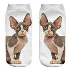 New Cartoon Cat Socks 3D Print Art Funny Socks Women Cute Low Cut Ankle Socks Made o Pure Cotton Short Socks Trending Fashion Short Ankle Socks For Men And Women Stevvex