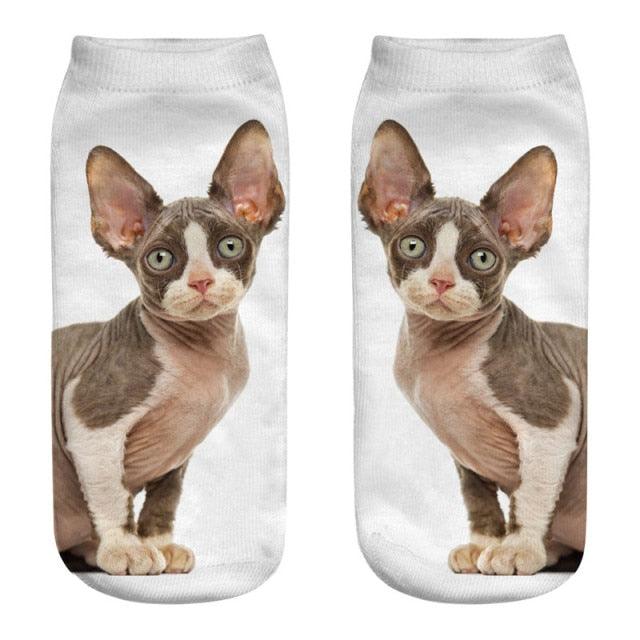 New Cartoon Cat Socks 3D Print Art Funny Socks Women Cute Low Cut Ankle Socks Made o Pure Cotton Short Socks Trending Fashion Short Ankle Socks For Men And Women Stevvex