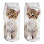 New Cartoon Cat Socks 3D Print Art Funny Socks Women Cute Low Cut Ankle Socks Made o Pure Cotton Short Socks Trending Fashion Short Ankle Socks For Men And Women Stevvex