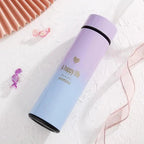 500ML Smart Thermos Water Bottle Led Digital Temperature Display Stainless Steel Coffee Thermal Mugs Intelligent Insulation Cups Stevvex