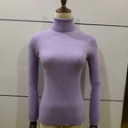 New Elegance Autumn/Winter Knitted Jumper Tops Turtleneck Pullovers Casual Sweaters Women Shirt Long Sleeve Tight Sweater Girls Stevvex