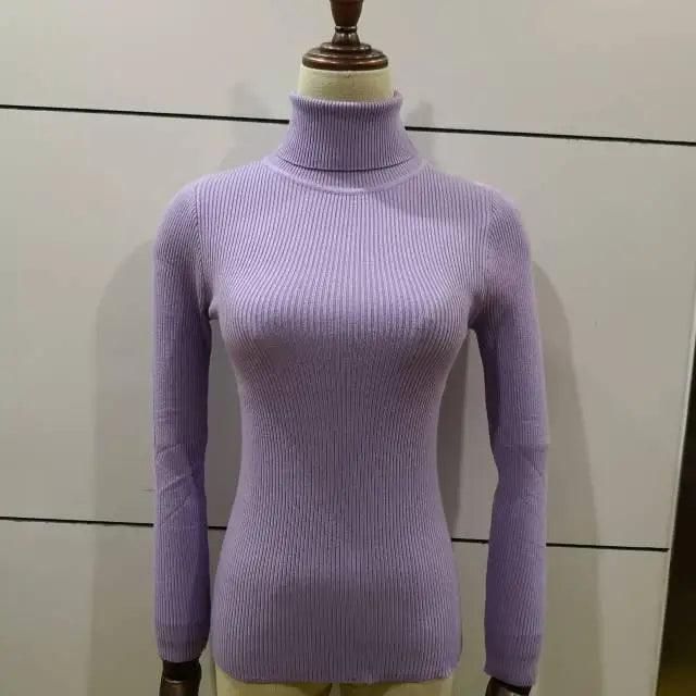 New Elegance Autumn/Winter Knitted Jumper Tops Turtleneck Pullovers Casual Sweaters Women Shirt Long Sleeve Tight Sweater Girls Stevvex