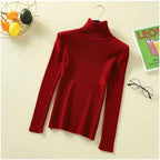 New Elegance Autumn/Winter Knitted Jumper Tops Turtleneck Pullovers Casual Sweaters Women Shirt Long Sleeve Tight Sweater Girls Stevvex