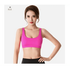 New Elegance Fitness Sports Bra for Women Push Up Wirefree Padded Crisscross Strappy Running Gym Training Workout Yoga Underwear Crop Tops Stevvex