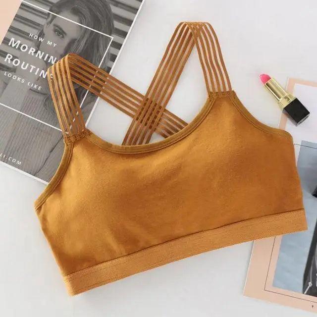 New Fashionable Seamless Sports Bra Women Fitness Top Gym Yoga Bra Shockproof Push Up Sport Bra Running Yoga Gym Crop Top Breathable Workout Bra Stevvex