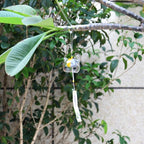 New Glass Cat Pattern Wind Chime Bell Home Garden Hanging Decor DIY Gift Glass Wind Chime Birthday Valentine's Day Gift Home Spa Kitchen Office Decor