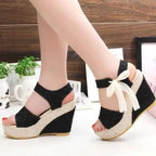 New Modern Women Wood High Heels Sandals Elegant Stylish Design Summer Womens Shoes Stevvex