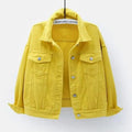 New Stunning Women's Plus Size Denim Jacket Spring Autumn Short Coat Pink Jean Jackets Casual Tops Purple Yellow White Loose Outerwear Stevvex