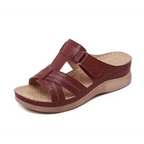New Summer Fashion Slipper 2021 Buckle Strap Slippers with Comfortable Heel Indoor Outdoor Beach Sandals For Women Stevvex