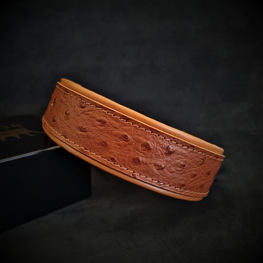 The "Ostrich" collar LIMITED - SJB-DIAMOND ELITES