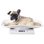 Small Pet Scale for cat and Dog Baby Scale 10kg/1g Digital Small Pet Weight Scale Multi-Function Baby Scale for Small pet Hatching and Food Weighing Measure Tool Electronic Kitchen Scale Pi-Mart