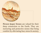 Malachite Picture Jasper Stretch Bracelet Natural Gem