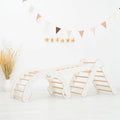 3 in 1 Pikler Triangle Set: Pikler Triangle + Arch + Ladder - SJB-DIAMOND ELITES