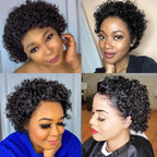 Pixie Cut Wig Short Curly Human Hair Wigs Human Hair Wig 13X1 Transparent Lace Wig For Women Human Hair Pre Plucked Baby Hair Wigs For Black Women Stevvex