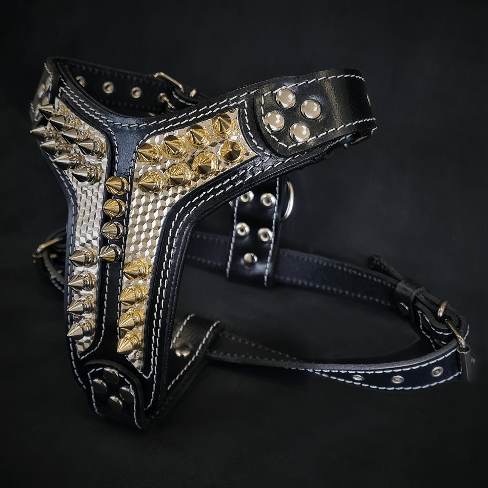 ''Platinum'' harness Medium Size - SJB-DIAMOND ELITES