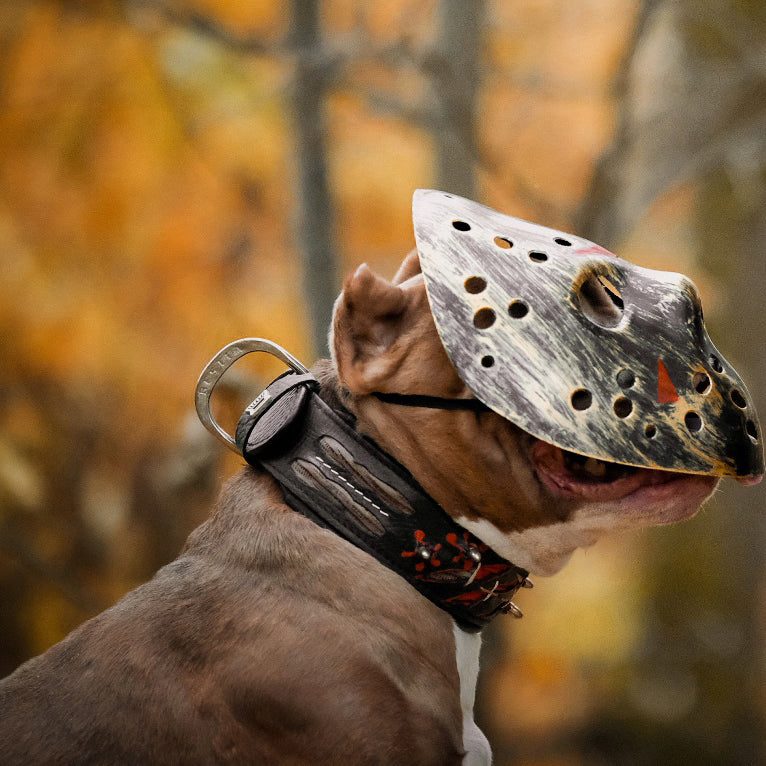 The "Haunted'' collar LIMITED - SJB-DIAMOND ELITES