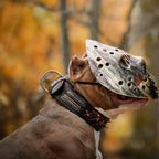 The "Haunted'' collar LIMITED - SJB-DIAMOND ELITES