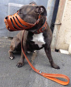 ''Maximus'' Silver Basket Muzzle - SJB-DIAMOND ELITES