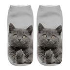 New Cartoon Cat Socks 3D Print Art Funny Socks Women Cute Low Cut Ankle Socks Made o Pure Cotton Short Socks Trending Fashion Short Ankle Socks For Men And Women Stevvex