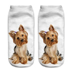 New Cartoon Cat Socks 3D Print Art Funny Socks Women Cute Low Cut Ankle Socks Made o Pure Cotton Short Socks Trending Fashion Short Ankle Socks For Men And Women Stevvex