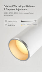 Table Lamp LED Desk Night Lamp Eye Protection Study Reading Light USB Rechargeable Desktop Office Work Table Lamp Decorative Table Lamp Cute Study Lamps for Bedroom Décor