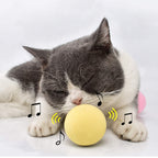 Smart Cat Toys Ball Catnip Cat Training Toy Pet Playing Ball Pet Products Toy for Cats Interactive Chirping Balls Cat Kicker Toys Fun Catnip Toys for Cat Exercise Stevvex